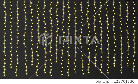 Festive Christmas light  glowing garland string on dark background. 123701530