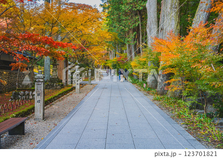 袋井市にある法多山尊永寺の参道と紅葉の風景(静岡県) 123701821