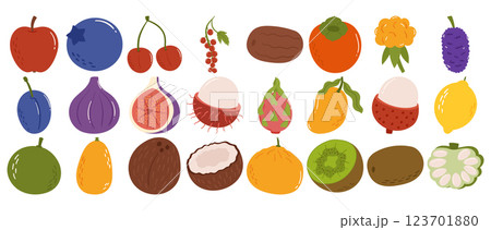 Colorful Hand-Drawn Fruit Collection with Exotic and Tropical Fruits in a Modern Flat Style. Colorful Hand-Drawn Fruit Collection with Exotic and Tropical Fruits in a Modern Flat Style. 123701880