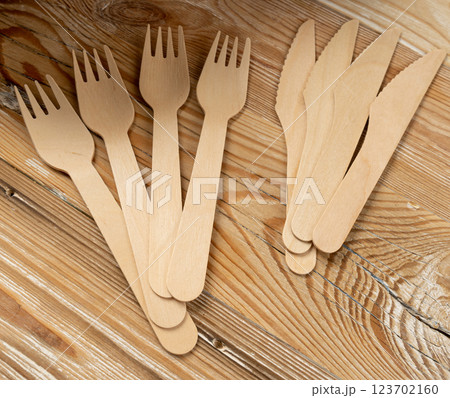 Paper Plate, Fork, Knife, Eco Tableware, Disposable Cutlery, Biodegradable, Eco Bio Table Setting for Picnic Paper Plate, Fork, Knife, Eco Tableware, Disposable Cutlery, Biodegradable, Eco Bio Table Setting for Picnic 123702160