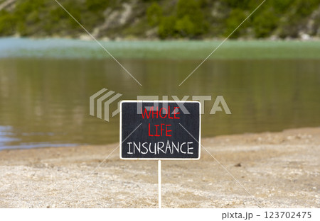 Whole life insurance symbol. Concept words Whole life insurance on beautiful black yellow blackboard. Beautiful mountain lake background. Business whole life insurance concept. Copy space. 123702475