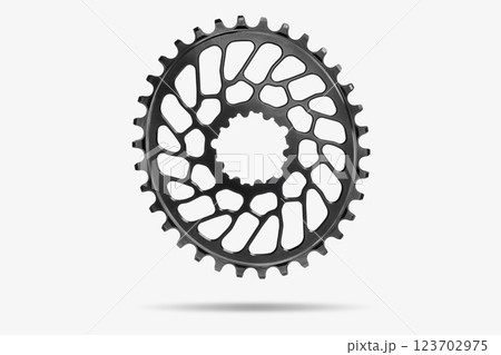 Black oval bicycle chainring against white isolated background, floating above the surface. Professional bicycle part. Black oval bicycle chainring against white isolated background, floating above the surface. Professional bicycle part. 123702975