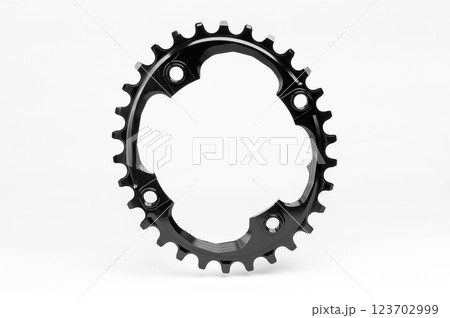 Black oval bicycle chainring against white isolated background, floating above the surface. Professional bicycle part. Black oval bicycle chainring against white isolated background, floating above the surface. Professional bicycle part. 123702999