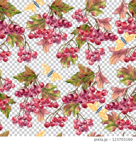 Snowball tree berry, butterflies seamless pattern in vibrant watercolor isolated. Hand drawn viburnum berries on branches for cozy autumn repeat background, textile, tablecloths, kitchen decor. Snowball tree berry, butterflies seamless pattern in vibrant watercolor isolated. Hand drawn viburnum berries on branches for cozy autumn repeat background, textile, tablecloths, kitchen decor. 123703160