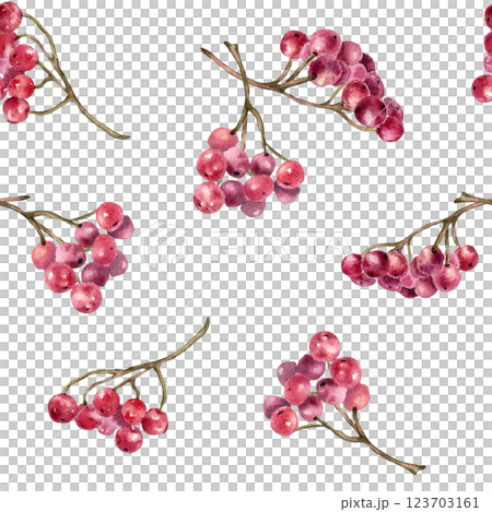 Botanical seamless pattern with guelder rose berries clusters and delicate twigs isolated white. Red berries watercolor on repeated texture for cottagecore textile, stationery, wrapping paper. Botanical seamless pattern with guelder rose berries clusters and delicate twigs isolated white. Red berries watercolor on repeated texture for cottagecore textile, stationery, wrapping paper. 123703161