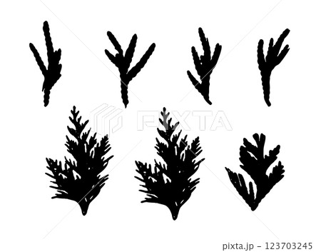 Cypress Twigs Icon, Cupressus Leaf Symbol, Arborvitae Twig, Thuya Sprig Silhouette, Thuja Leaves Cypress Twigs Icon, Cupressus Leaf Symbol, Arborvitae Twig, Thuya Sprig Silhouette, Thuja Leaves 123703245