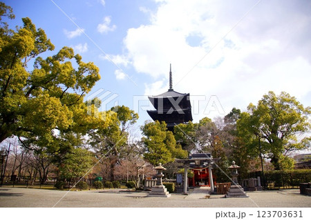 京都府 東寺・八島神社 八島社殿 京都市 南区 九条町 2022年2月 京都府 東寺・八島神社 八島社殿 京都市 南区 九条町 2022年2月 123703631