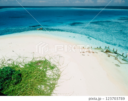 Tropical beach with ocean, drone view of seascape in sunny day 123703789