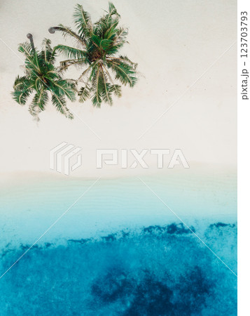 Aerial image of shoreline in Maldives. Bright blue crystal water and white sandy beach on beautiful paradise tropical island 123703793