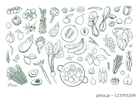 Hand drawn fruits and vegetables set Hand drawn fruits and vegetables set 123705209