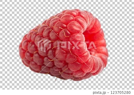 Ripe raspberry berry isolated on transparent background, natural and organic food, healthy snack 123705280