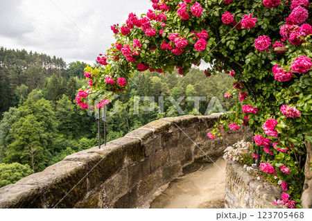 A stunning gate draped in bright pink roses welcomes visitors. It stands on an ancient stone wall, overlooking a lush green forest, creating a charming and inviting atmosphere. A stunning gate draped in bright pink roses welcomes visitors. It stands on an ancient stone wall, overlooking a lush green forest, creating a charming and inviting atmosphere. 123705468