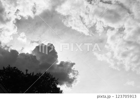 サンパウロの夏の雨雲　ブラジル 123705913