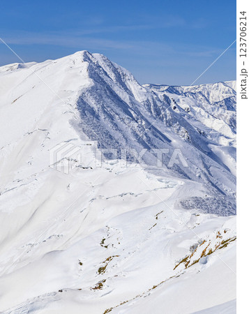 谷川連峰の雪景色・主稜線の山並み 谷川連峰の雪景色・主稜線の山並み 123706214