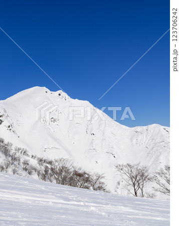 雪の天神尾根から見る谷川岳の絶景 雪の天神尾根から見る谷川岳の絶景 123706242