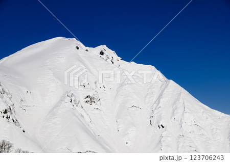 雪の天神尾根から見る谷川岳の絶景 123706243