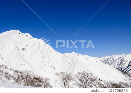 雪の天神尾根から見る谷川岳の絶景 123706248