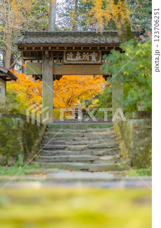 【神奈川県・鎌倉市】浄智寺・鐘楼門の紅葉　※自然風景 123706251