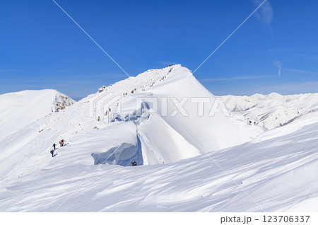 谷川岳山頂オキの耳と巨大な雪庇（雪山） 123706337