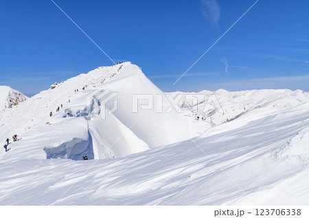 谷川岳山頂オキの耳と巨大な雪庇(雪山) 谷川岳山頂オキの耳と巨大な雪庇(雪山) 123706338