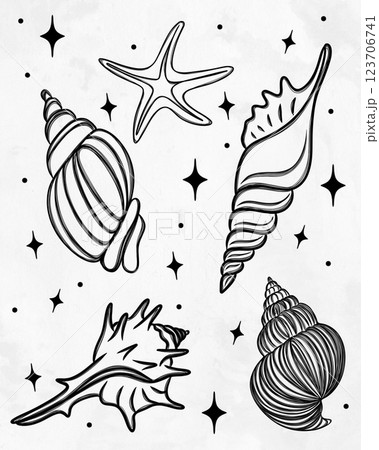 seashell outline illustration. Seashells set on a watercolor background. Hand drawn illustrations. Collection of realistic sketches various mollusk sea shells seashell outline illustration. Seashells set on a watercolor background. Hand drawn illustrations. Collection of realistic sketches various mollusk sea shells 123706741