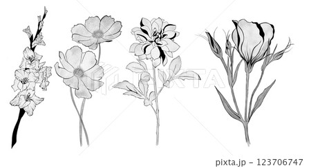 big set of flowers. Hand-drawn. design greeting card and invitation of the wedding, birthday, Valentine's Day, mother's day and other holiday 123706747