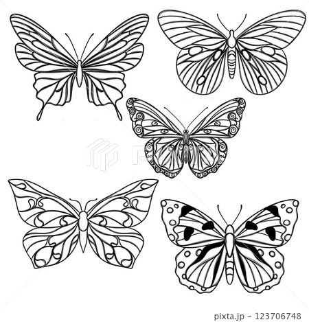 Line art butterfly, Layout for printing illustrations on T-shirts, notepads, covers 123706748