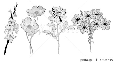 big set of flowers. Hand-drawn. design greeting card and invitation of the wedding, birthday, Valentine's Day, mother's day and other holiday 123706749