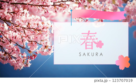 満開の桜 春のおしゃれな背景フレーム　タイトルバナー素材 123707019