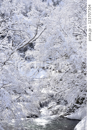 渓流の雪景色 渓流の雪景色 123707304