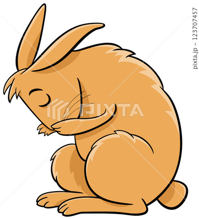 cartoon miniature rabbit animal character washing itself 123707457