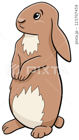 cartoon miniature rabbit animal character standing up 123707459