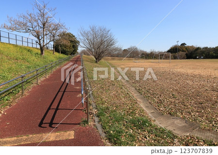 グラウンドに続くスロープ 公園に設置されたスロープ グラウンドに続くスロープ 公園に設置されたスロープ 123707839