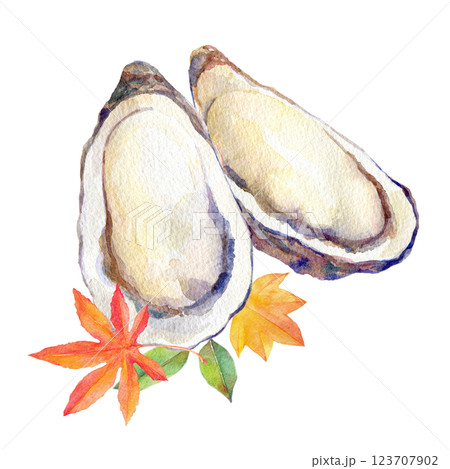 水彩イラスト　生牡蠣と紅葉 123707902