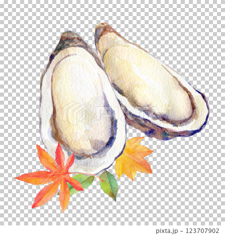 水彩イラスト　生牡蠣と紅葉 123707902