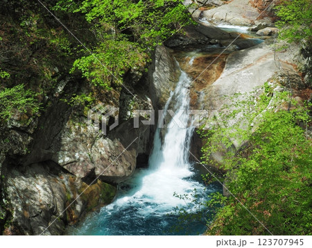 春の西沢渓谷・貞泉の滝 123707945