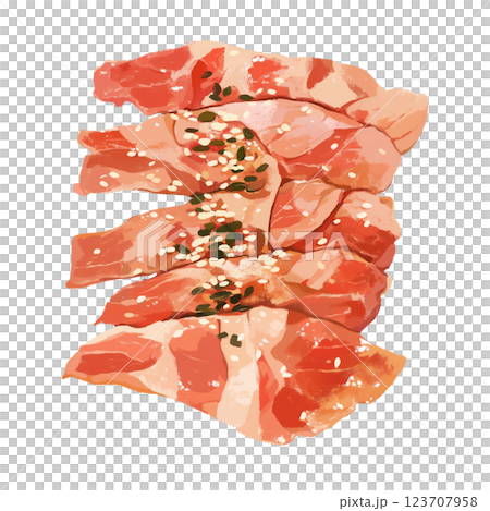 美味しそうな焼肉 123707958