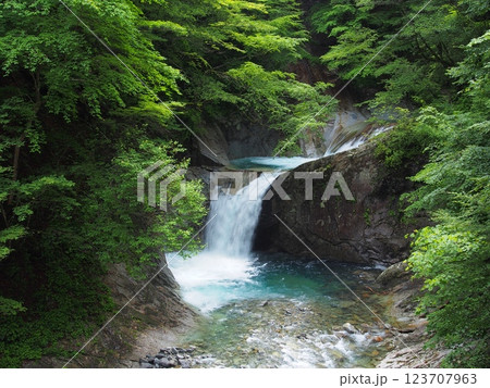夏の西沢渓谷・竜神の滝 123707963