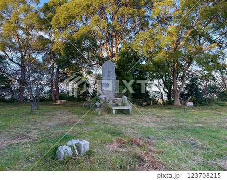 兵庫県の中道子山城跡 兵庫県の中道子山城跡 123708215