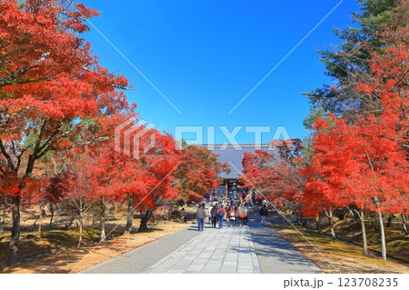 【京都府】紅葉の仁和寺の金堂 123708235