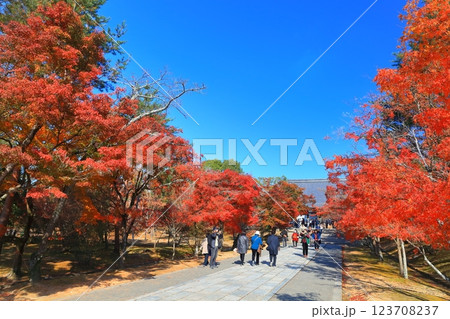 【京都府】紅葉の仁和寺の金堂 123708237