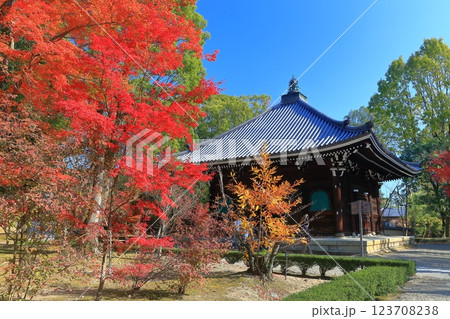 【京都府】紅葉の仁和寺の経蔵 123708238