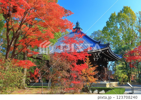 【京都府】紅葉の仁和寺の経蔵 123708240