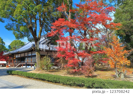 【京都府】紅葉の仁和寺の金堂 123708242