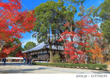 【京都府】紅葉の仁和寺の金堂 123708245