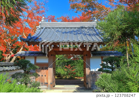 【京都府】快晴の源光庵の紅葉 【京都府】快晴の源光庵の紅葉 123708247