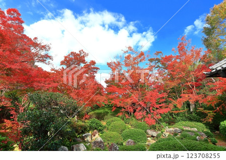 【京都府】紅葉の源光庵の中庭 123708255