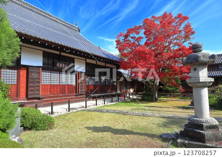 【京都府】紅葉の源光庵の本堂 123708257
