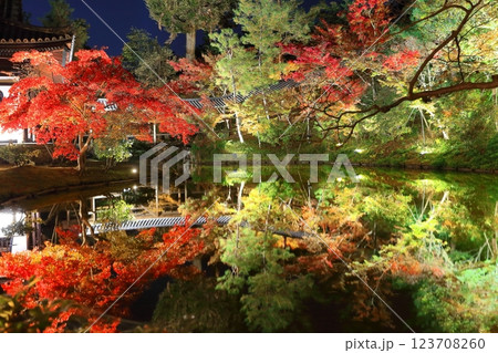 【京都府】高台寺の月真院の紅葉ライトアップ 【京都府】高台寺の月真院の紅葉ライトアップ 123708260