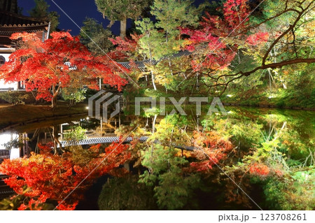 【京都府】高台寺の月真院の紅葉ライトアップ 【京都府】高台寺の月真院の紅葉ライトアップ 123708261